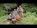 CAMEROON CAMEROUN 2014 Forest and Savanna Buffalo hunting (chasse) by Seladang