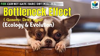 BOTTLE-NECK EFFECT | GENETIC DRIFT(Part-2) ||CSIR NET| GATE | EVOLUTION