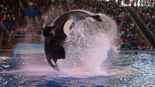 Orca Encounter Show Sea World |Killer Whale Show| Sea World SanAntonio | Learn More About Whales by NJ Diaries 2,249 views 1 year ago 21 minutes
