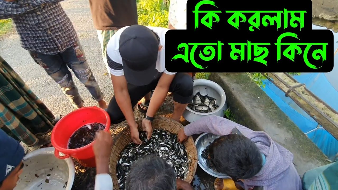 দুই বালতি মাছ,,, কত টাকা দিয়ে কিনলাম 🐟