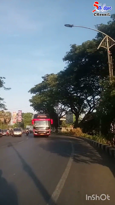 Black Bus Tjipto #shorts #truck #busmania #bismania #keretaapi #xalamchennil