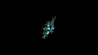 (FREE) 6lack Type Beat - Invincible