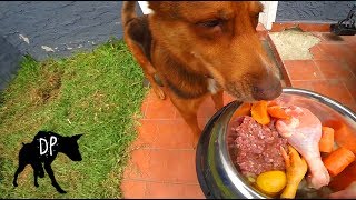 For some reason nala loves to roll her food in the grass when i feed
outside. facebook: https://www.facebook.com/dogpiletv twitter:
https://twitter.com/d...