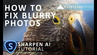 Topaz Sharpen AI Tutorial - How to Fix Blurry Pictures screenshot 4
