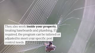Glendale, AZ Integrated Pest Management & Extermination: Prevent Scorpion & Termite Infestations