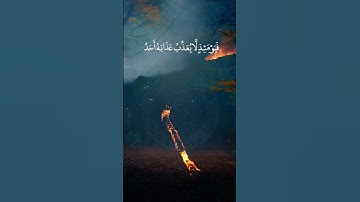 رعد الكردي بصوت خاشع ومؤثر #رعد_الكردي #قرآن #تلاوة_خاشعة #اكسبلور #viral #لايك #دويتو