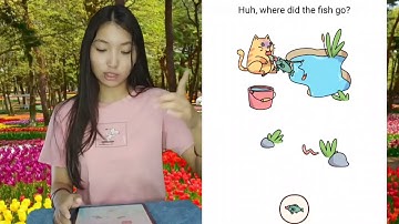 Brain Find Level 60 Huh where did the fish go Walkthrough