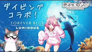 【FOREVER BLUE LUMINOUS】　おとかちゃんとコラボ　みんなで海に行こう！　[灰ネコのシン] Vtuber