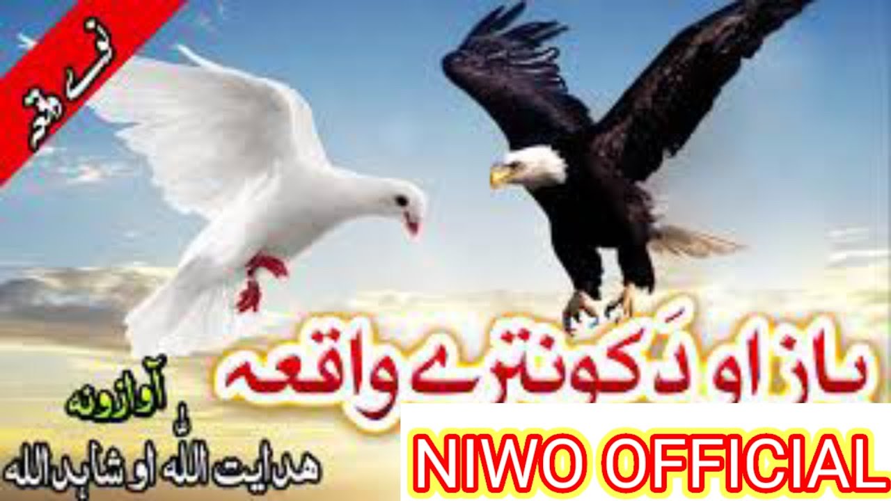 ناستو  جماعت کی اصحابو سرہ راغلہ کونترہ کہ اسمانہ نبی پشتو ڈیر زبردست نظم#1m #wanted