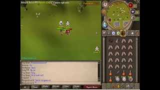 Recklesspk dharok pking.avi