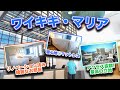 【ワイキキ・マリア】コスパ重視のハワイ旅行！立地・価格ともに大満足の都会派ホテル
