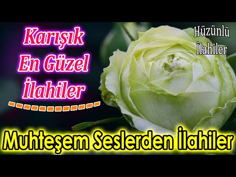 En Çok Dinlenen İlahiler🌷Karışık Güzel İlahiler🌹Muhteşem Seslerden Yeni İlahiler🌷İlahi Dinle