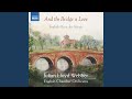 Miniature de la vidéo de la chanson Serenade In E Minor, Op. 20: Ii. Larghetto