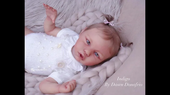 Indigo by Dawn Donofrio