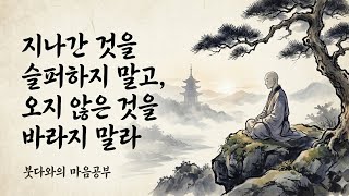 지나간 것을 슬퍼하지 말고, 오지 않은 것을 바라지 말라 | 붓다와의 마음수업