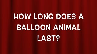 How Long Do Balloon Animals Last? (Balloon Vlog #15)