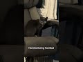 Hannibal being Hannibal
