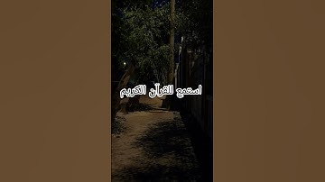اكتب شيء تؤجر عليه يوم القيامة 😴🖤 #سورة_النور #قران_كريم #آيات_الرحمة #ياسر_الدوسري #المصحف
