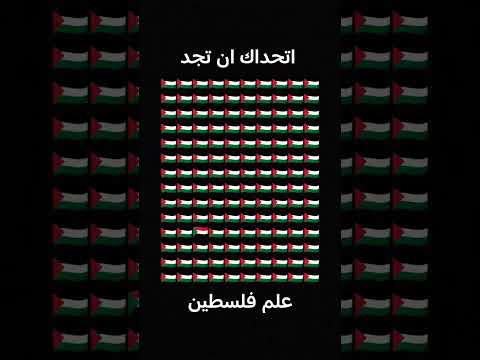 اتحداك ان تجد علم فلسطين
