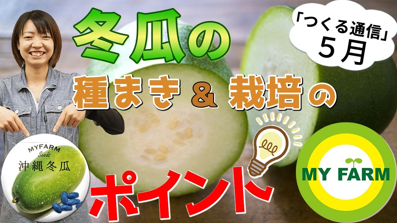 冬瓜 トウガン の育て方を徹底解説 じつは暑さに強い夏の野菜です つくる通信５月のタネ Youtube