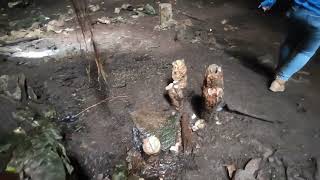 Visitando la cueva de Yau--vekin en Cañada de Galicia Santiago yosondua Grutas en la mixteca ⭕⭕❗❓⭕