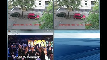 Video-watermarking Demonstration 2