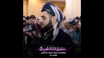 تلاوة الخاشعة بصوت رعد الكردي حالات واتس اب