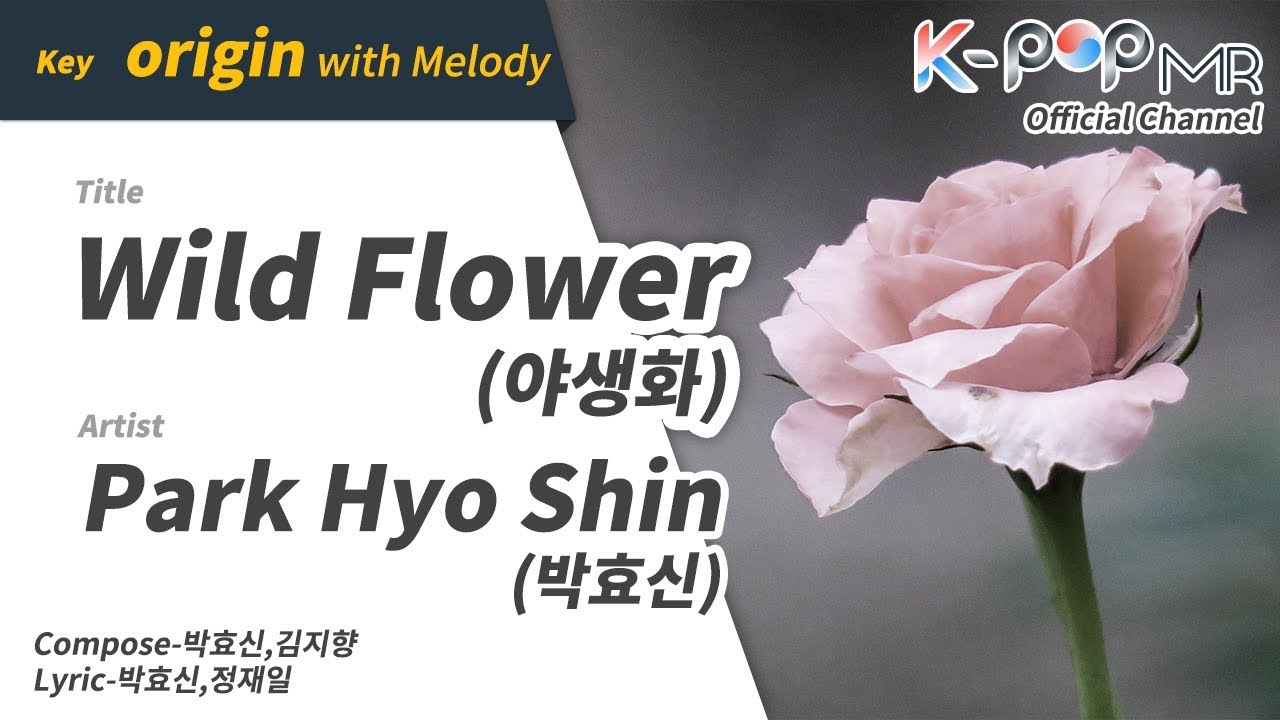 Wild Flower (Melody Ver.)(Origin Ver.)Park Hyo Shin (박효신) [KPOP MR
