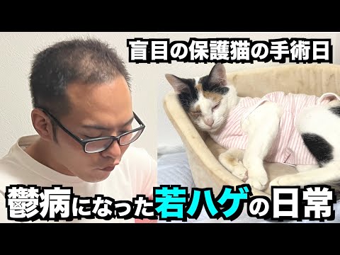 【若ハゲvlog】鬱病になった若ハゲと暮らす盲目の子猫ぴぃちゃんの手術日