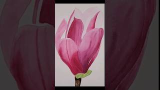 Magnolia in watercolor #magnolia #watercolormagnolia #магнолия #урокиакварели #акварельныемагнолии