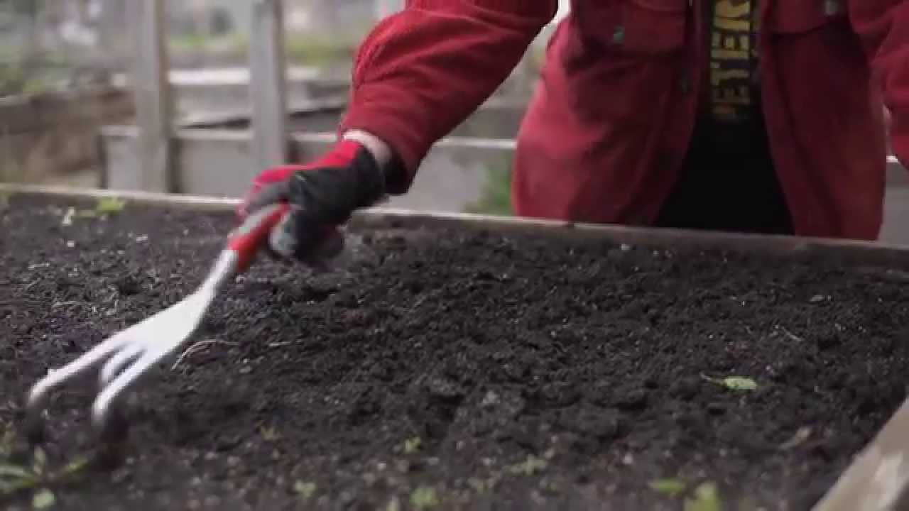 The Garden Minute Preparing Your Raised Bed for Planting YouTube
