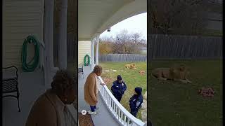 Cops Don’t Like Granny’s New Pet