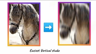 Easiest Vertical Shake || Capcut Tutorial || DIDI