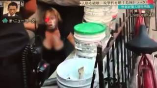 フラッカ 急上昇ワード2chまとめブログ速報