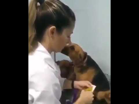 כשאתה מתאהב ברופא 