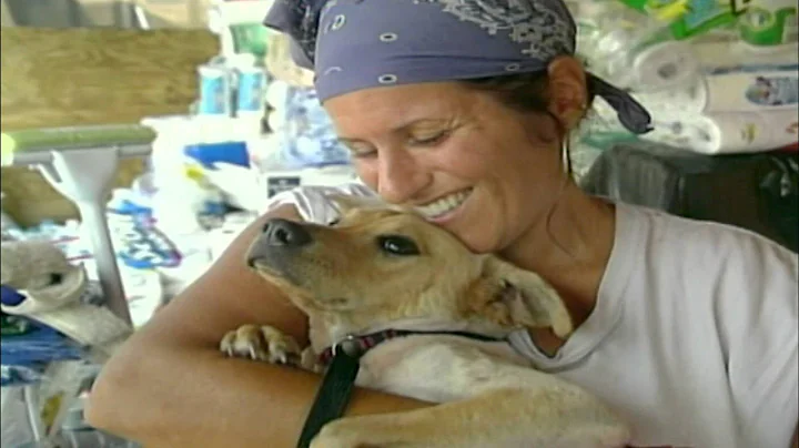 The Weather Channel - AM to PM Image Promo