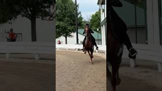 Another beautiful night for a horse show in the Bluegrass…