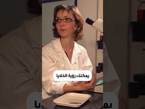 ضوء الشمس يؤذي بصرنا