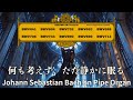 【眠る前に聴くバッハ】パイプオルガンで心が落ち着く120分 –Bach for Insomniacs: The Sleepiest Organ Music