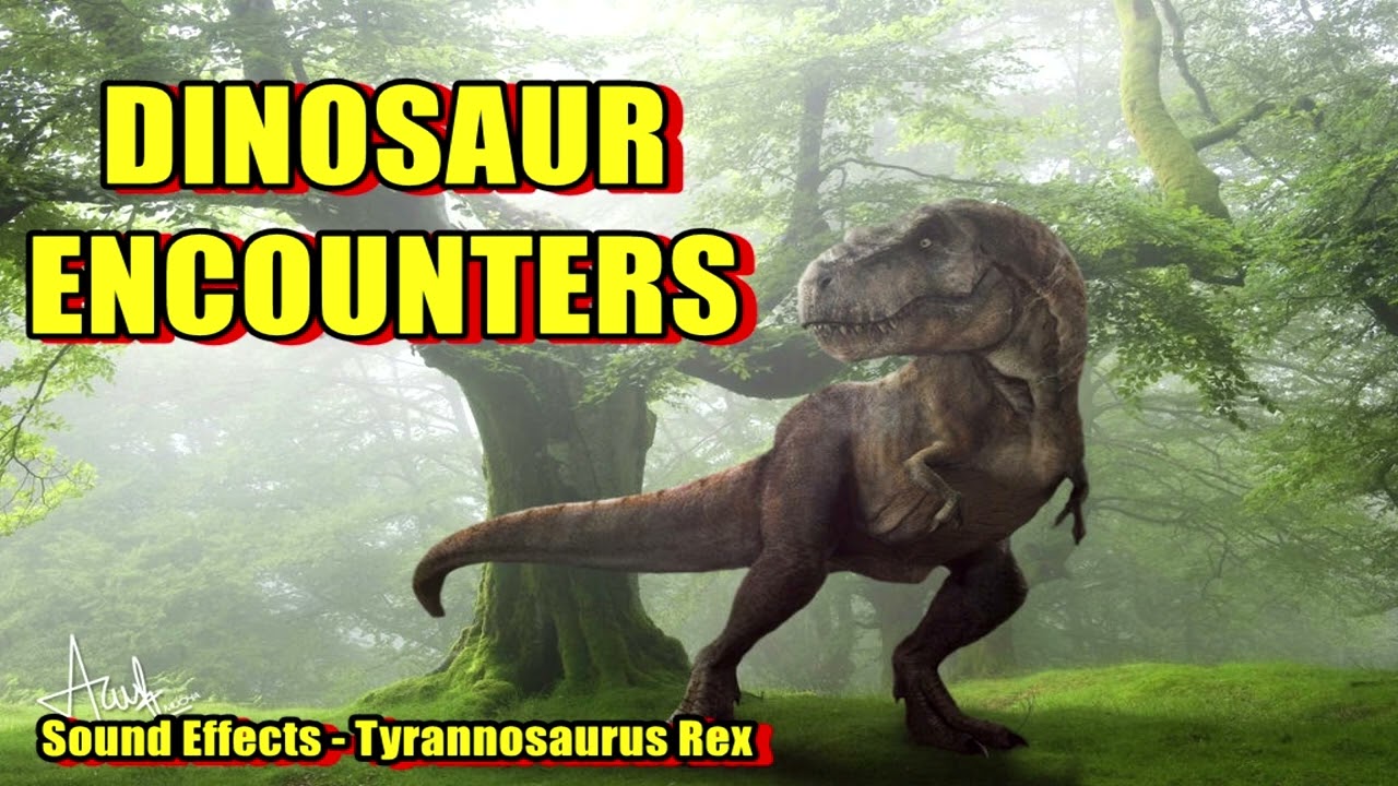 Download Sound Effects - Tyrannosaurus Rex (Dinosaur Encounters)