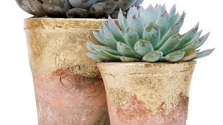 Brighten up your terra cotta pots with some gold edges. SUBSCRIBE to Sunset