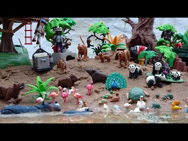  Playmobil Animal Enclosure : Toys & Games