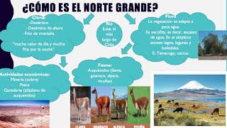 5º- Historia- Repaso y explicación guía Nº5