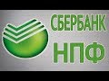 Обзор Негосударственного Пенсионного Фонда Сбербанка (НПФ). Мои Пенсионные Накопления