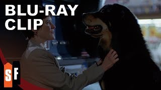 Mans Best Friend 1993 - Clip Womans Best Friend Hd