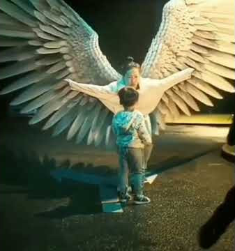 chirakukal mulakkuvan | open your wings | whatsapp status ♥️♥️