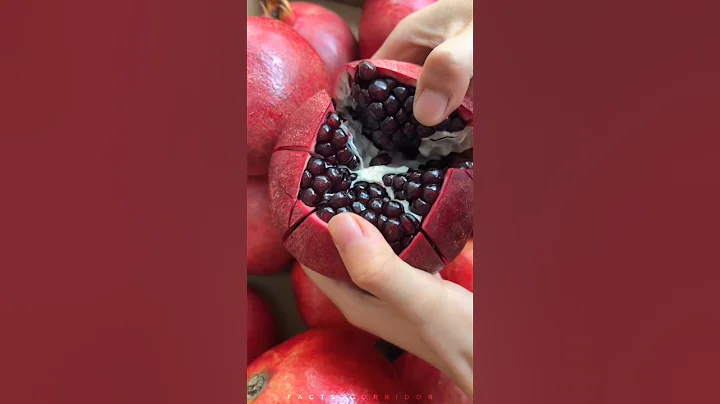 Top 10 Mind Blowing Facts About Food 🍅🍟 #shorts #foodfacts #factscorridor