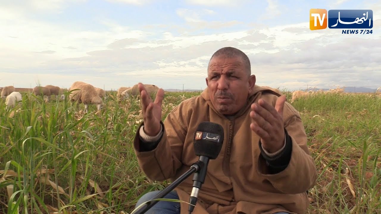 تيسمسيلت: فلاح يحول أرض قاحلة إلى أخرى منتجة لكل الخيرات بفضل إرادته القوية