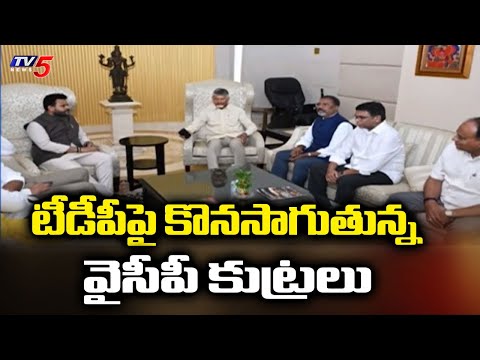 జగన్ క్రిమినల్ మాస్టర్ మైండ్ CM Chandrababu Alerts TDP Leaders Over YCP Criminal Politics | TV5 - TV5NEWS