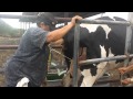Naked  Cow Dairy  pt 2 (The Incredible Dr Mo